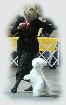 Camcrest westies deals